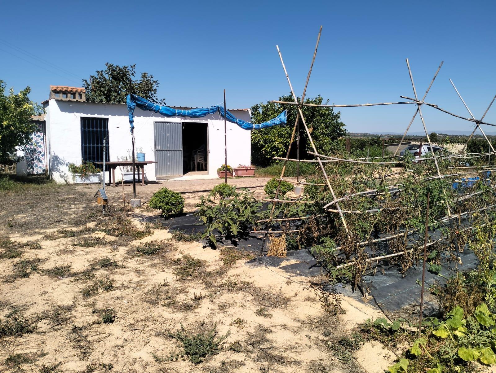 Venta de finca rústica en Cheste
