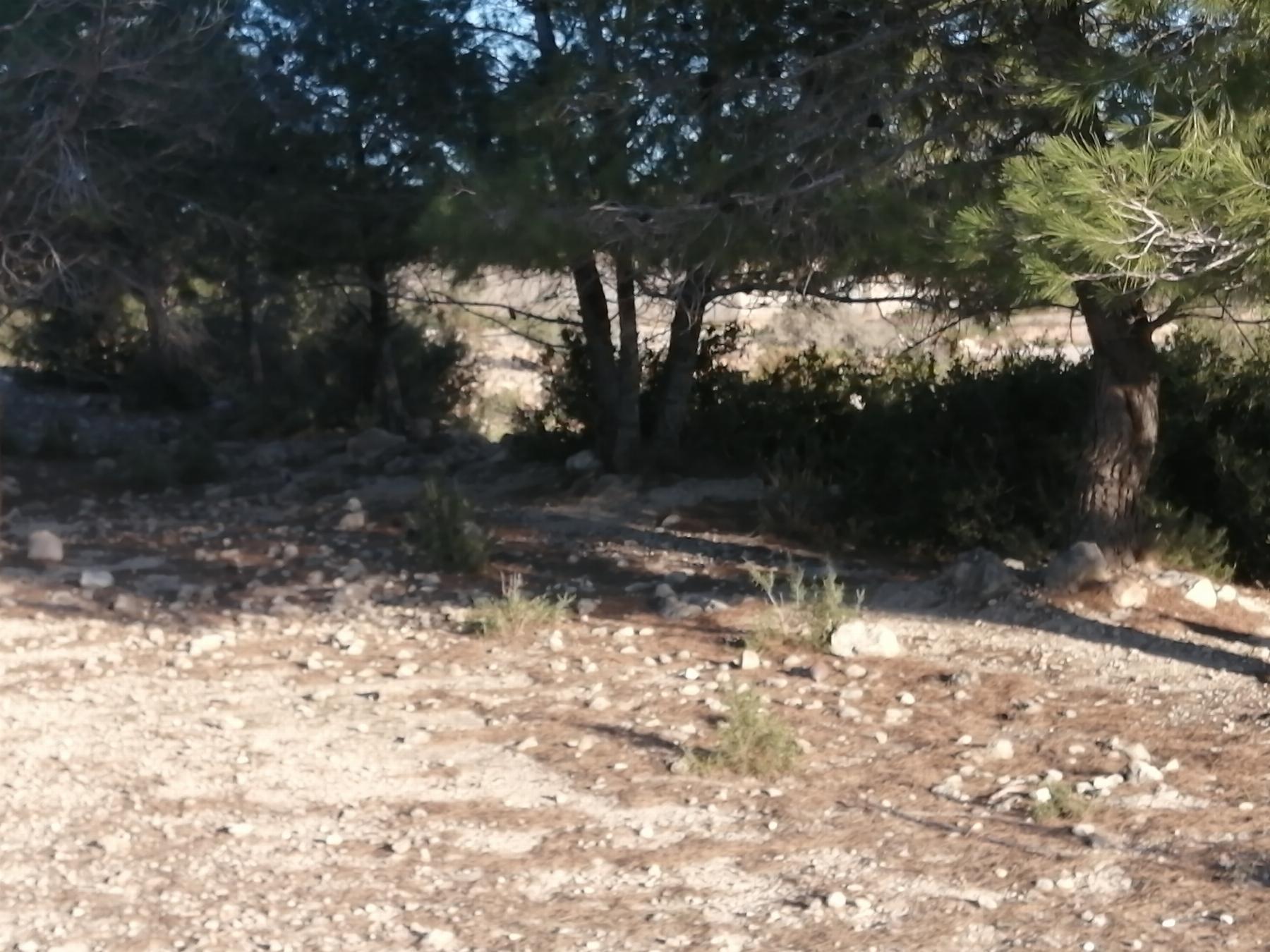 For sale of land in Cheste