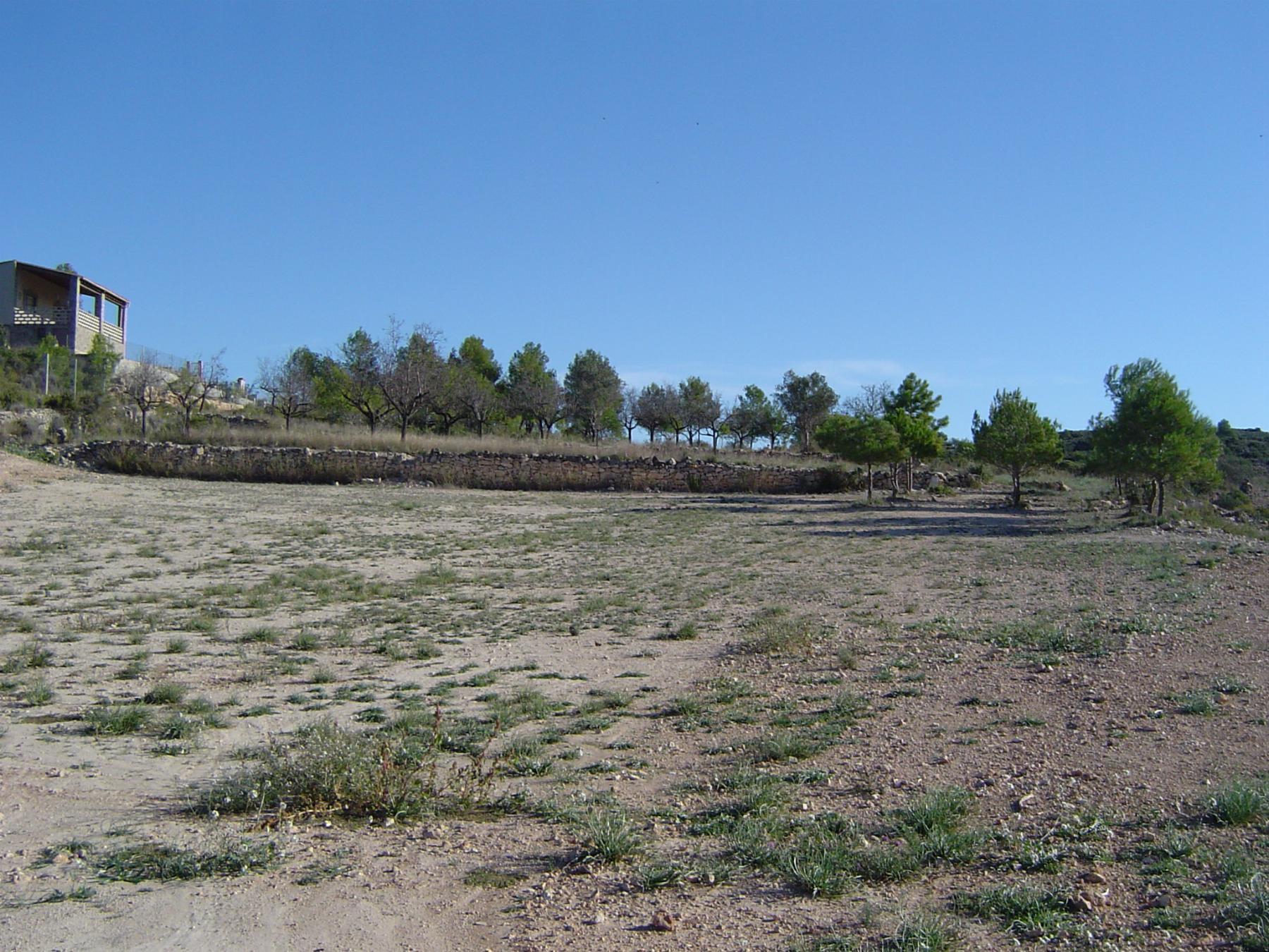 For sale of land in Cheste