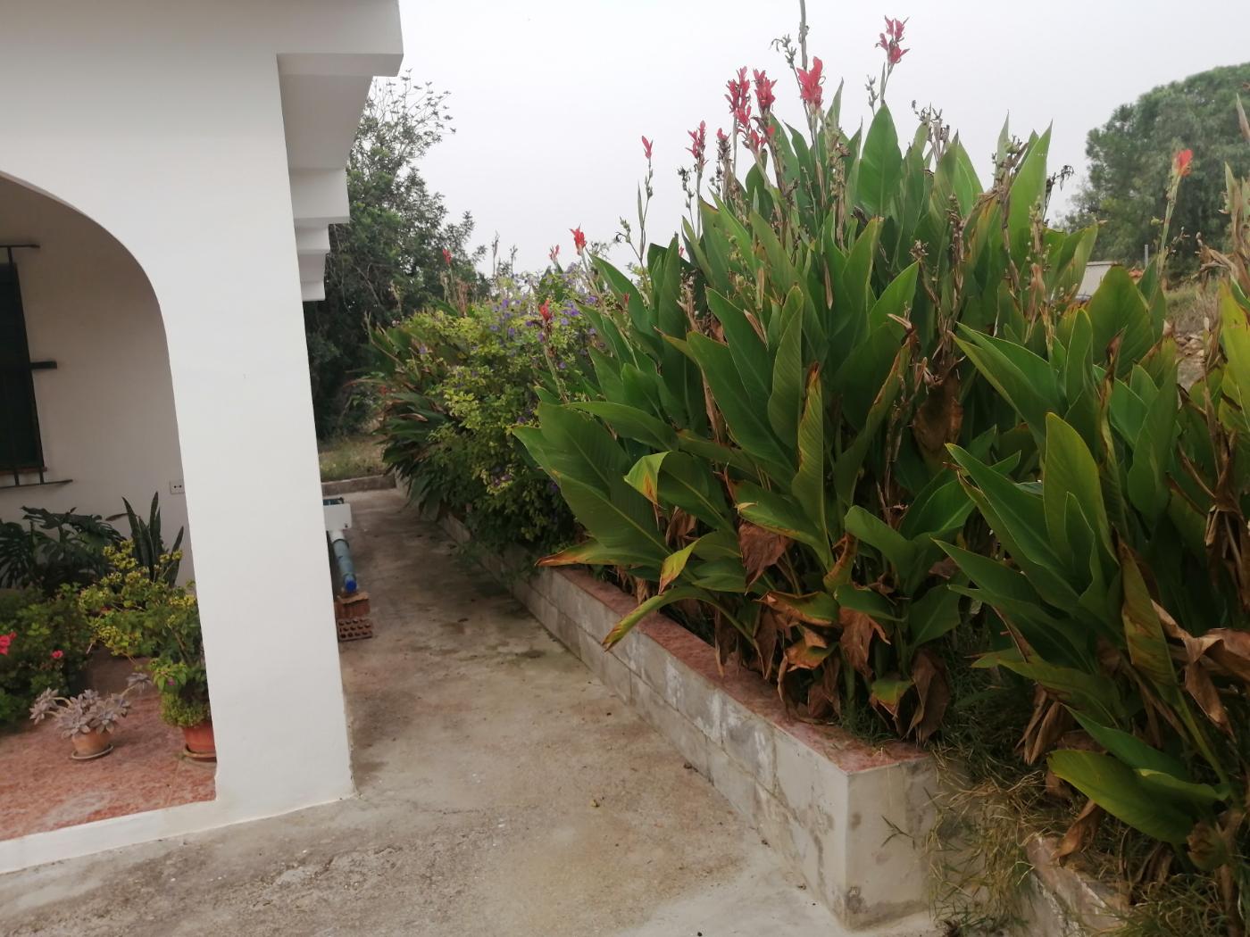 For sale of chalet in Cheste