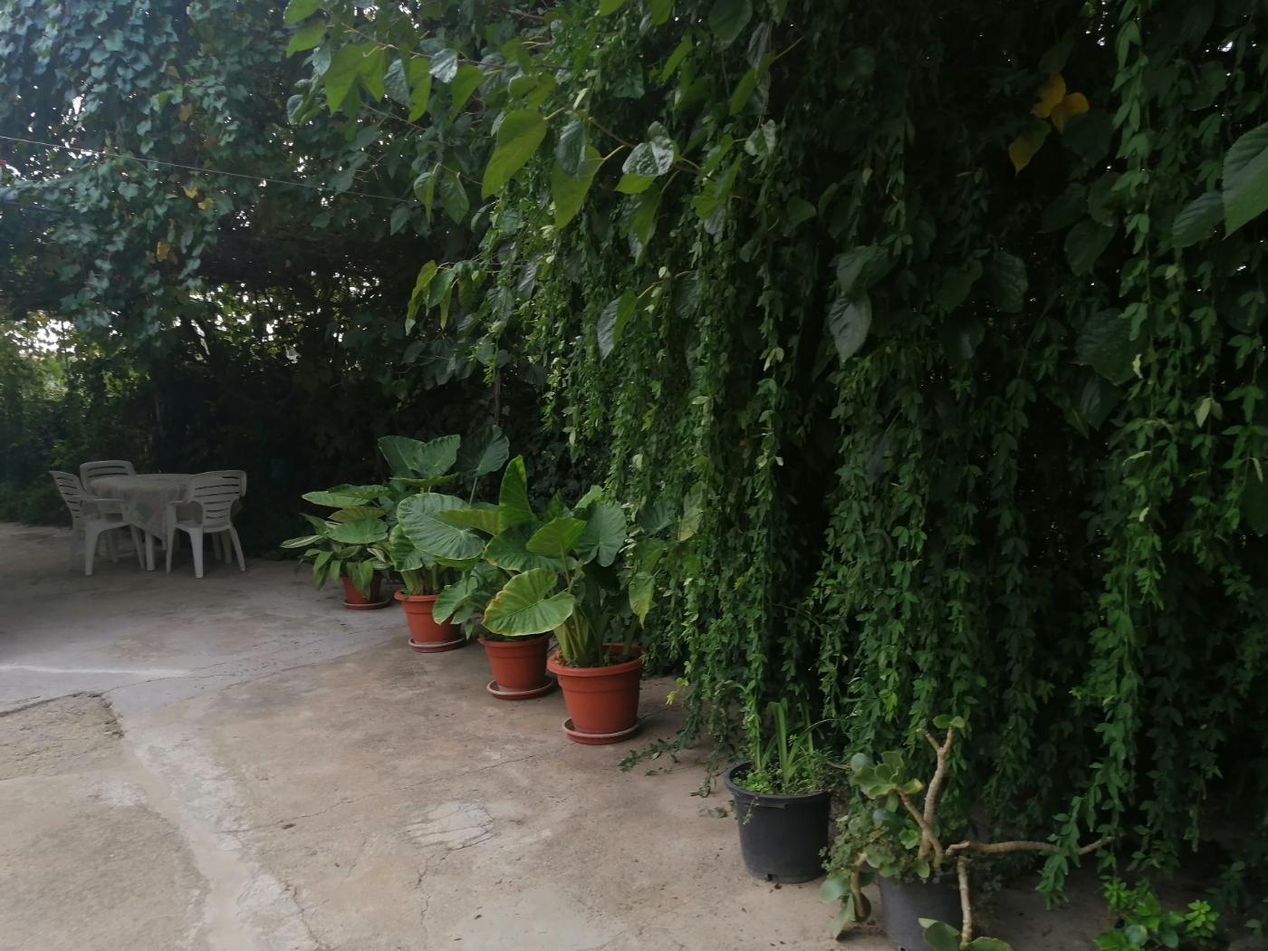 For sale of chalet in Cheste