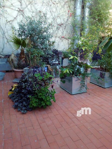 For sale of commercial in Cheste