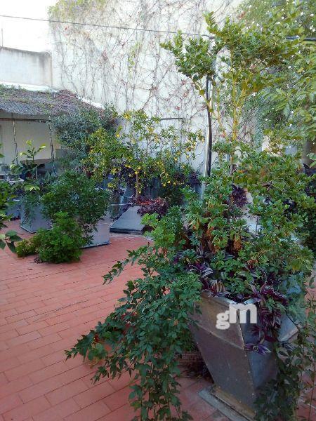 For sale of commercial in Cheste