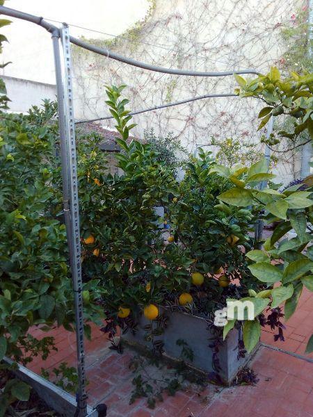 For sale of commercial in Cheste