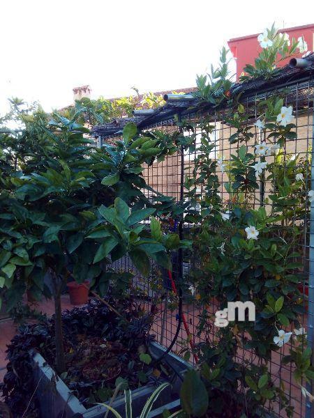 For sale of commercial in Cheste