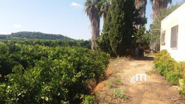 Venta de finca rústica en Cheste
