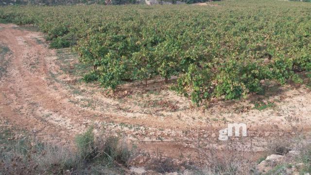 For sale of rural property in Cheste
