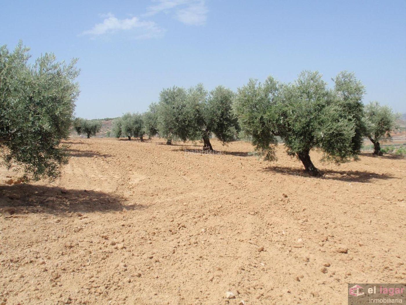 Venta de terreno en Montijo