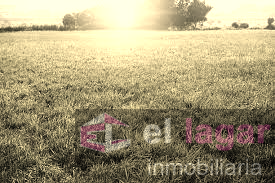 For sale of land in Lobón