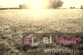 For sale of land in La Garrovilla