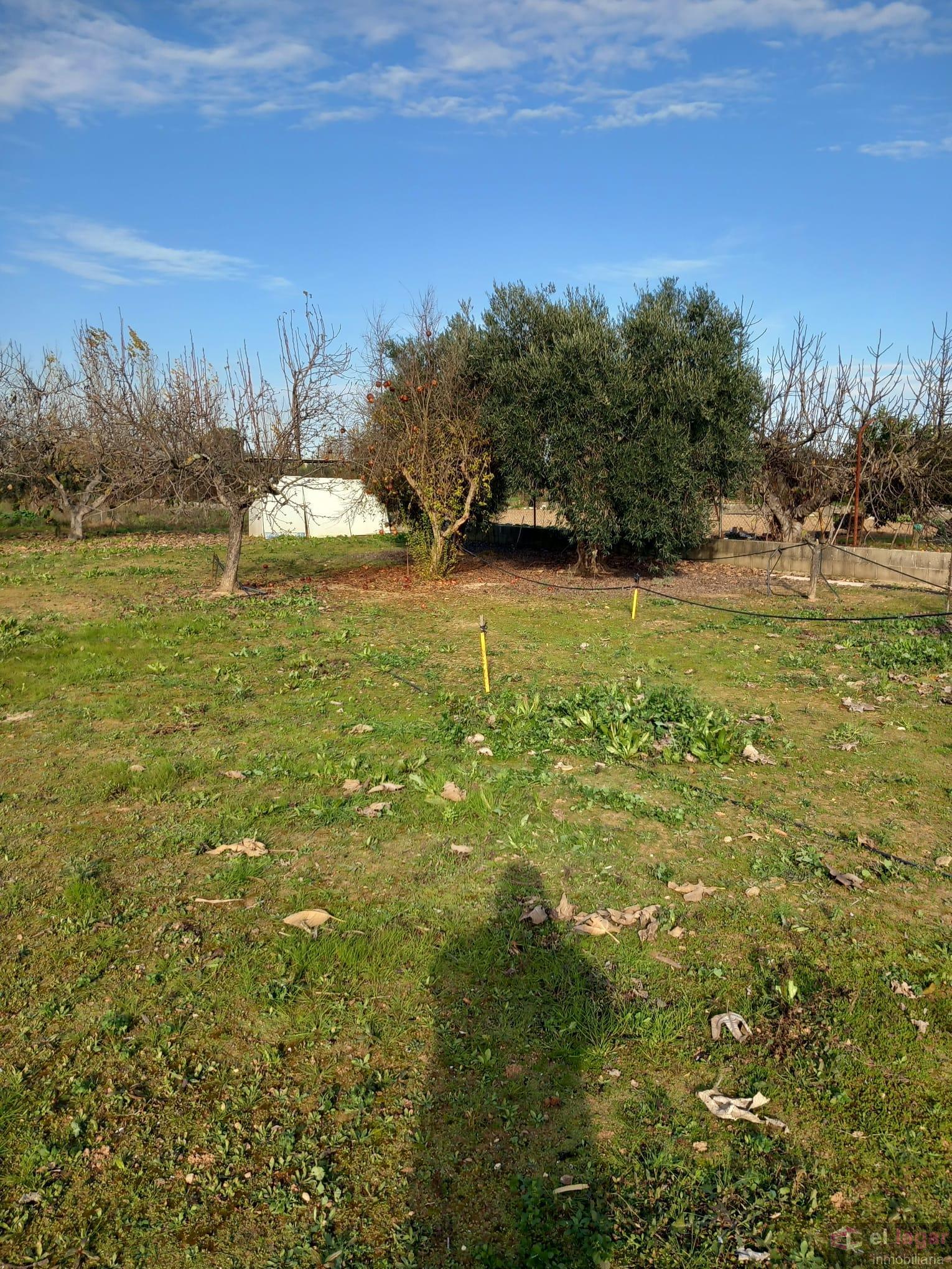 For sale of chalet in Montijo