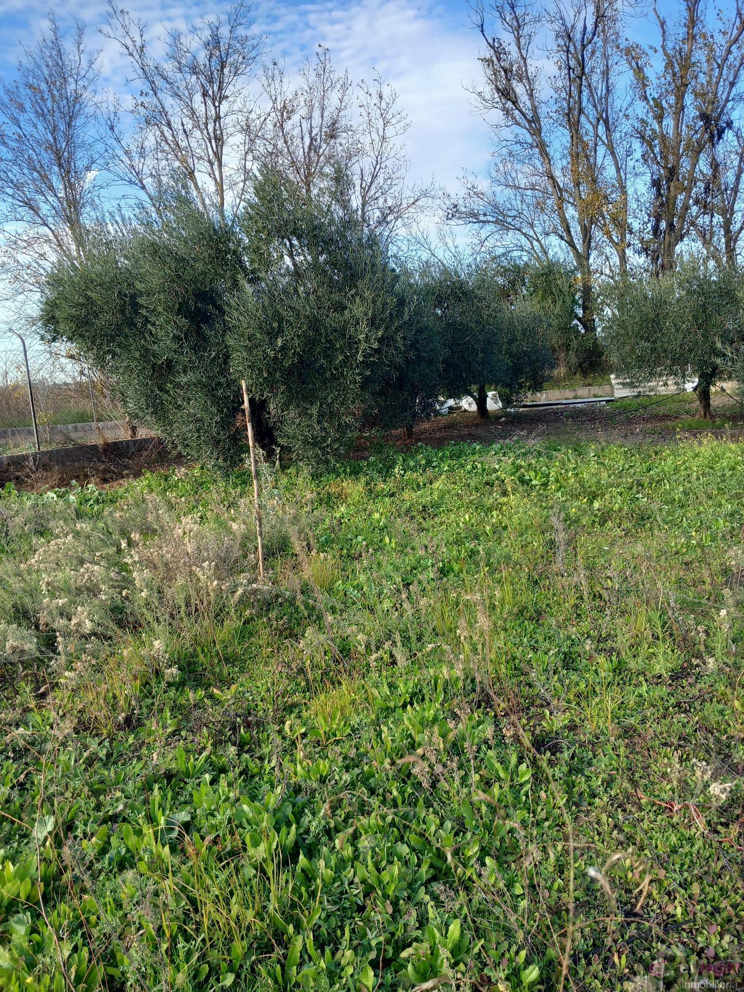 For sale of chalet in Montijo