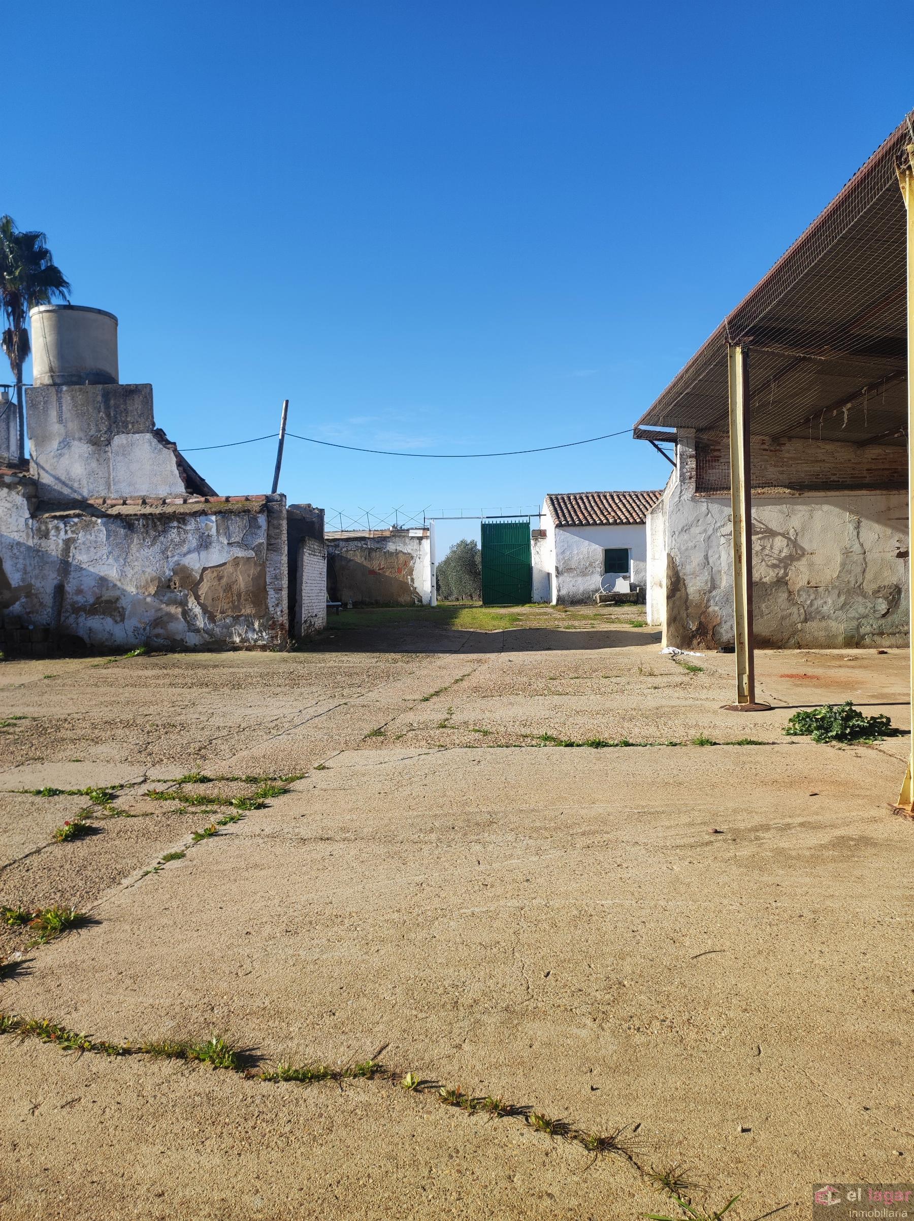 For sale of rural property in Montijo