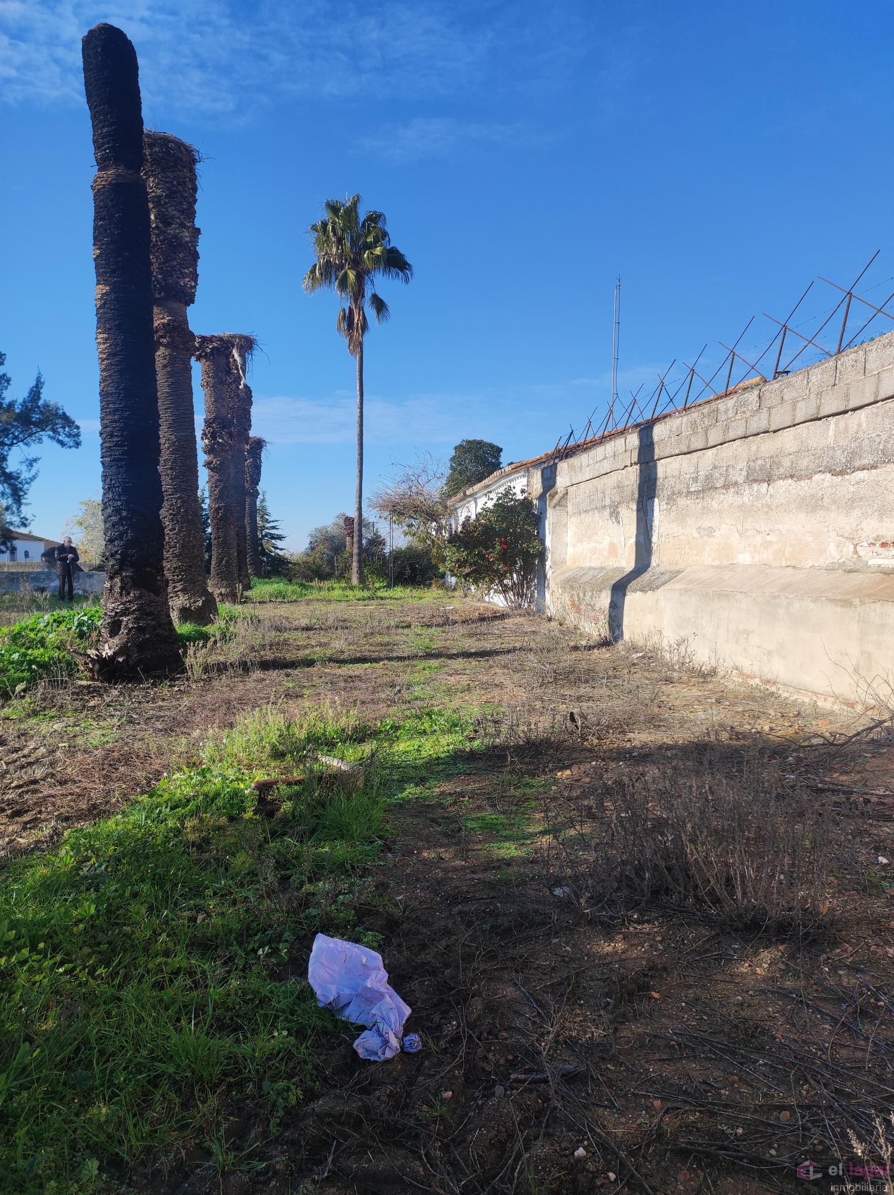 For sale of rural property in Montijo