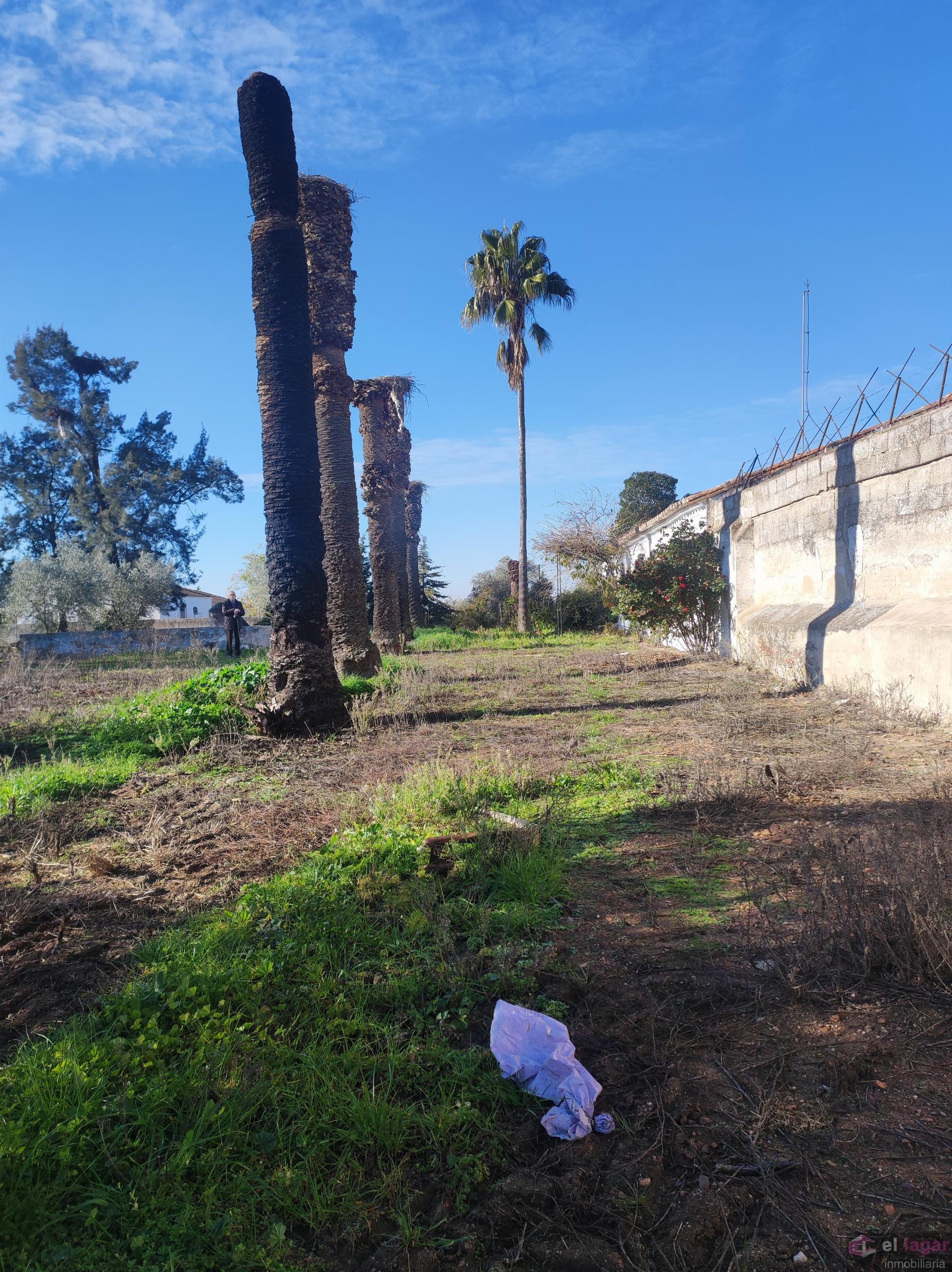 For sale of rural property in Montijo