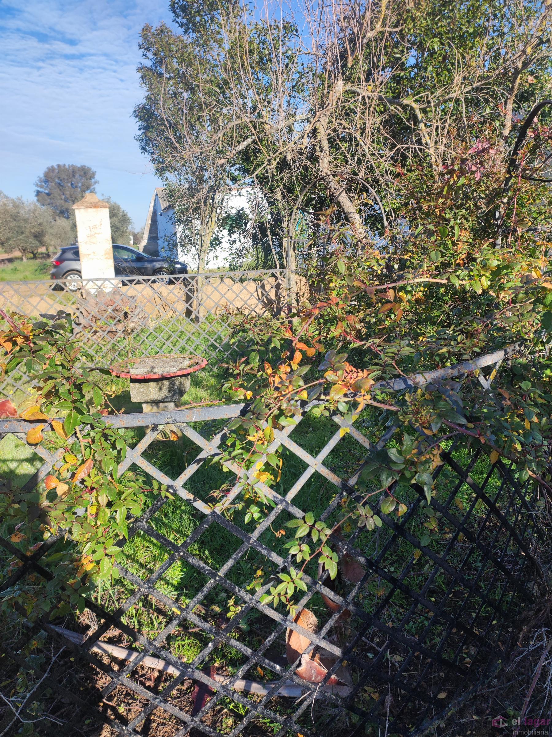 For sale of rural property in Montijo
