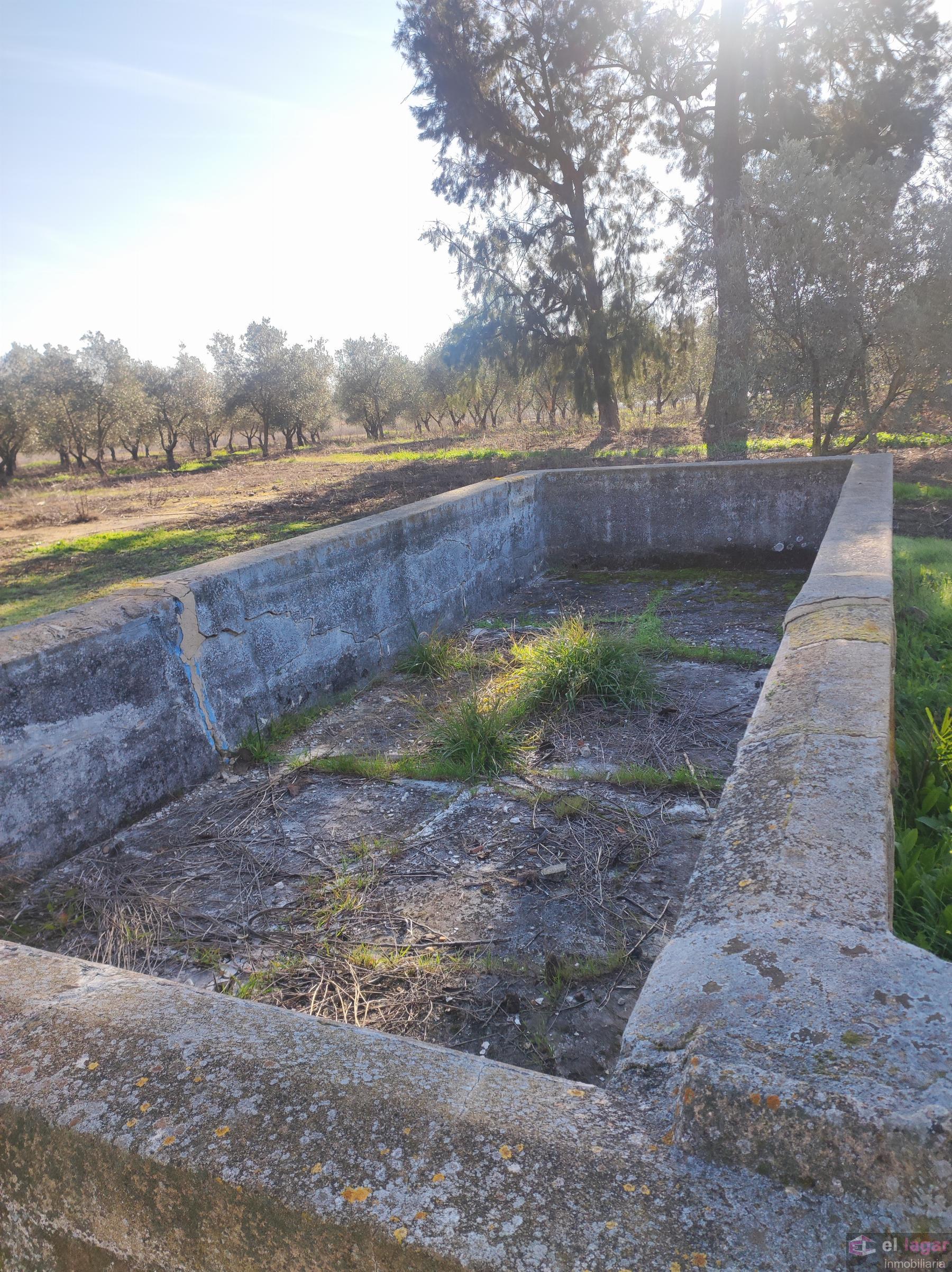 For sale of rural property in Montijo