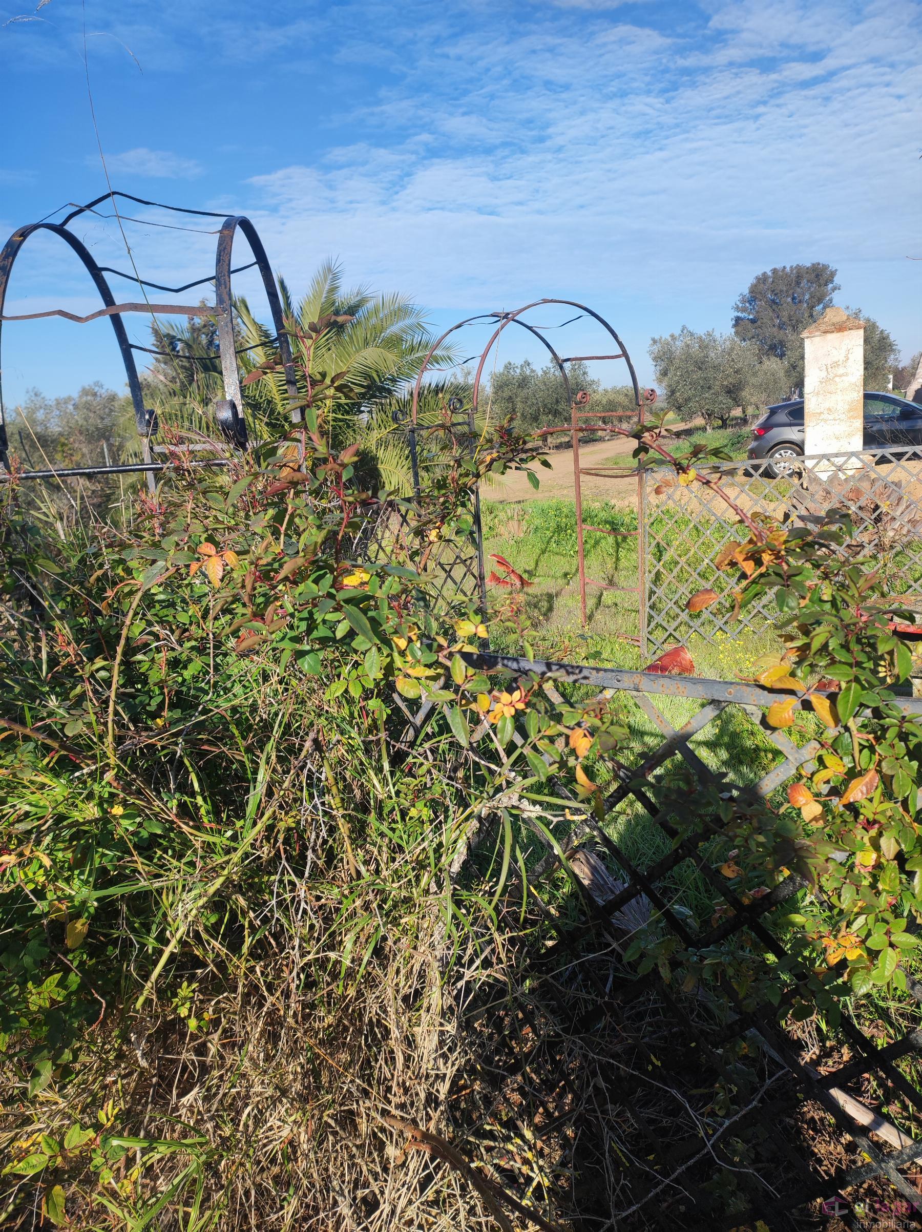 For sale of rural property in Montijo