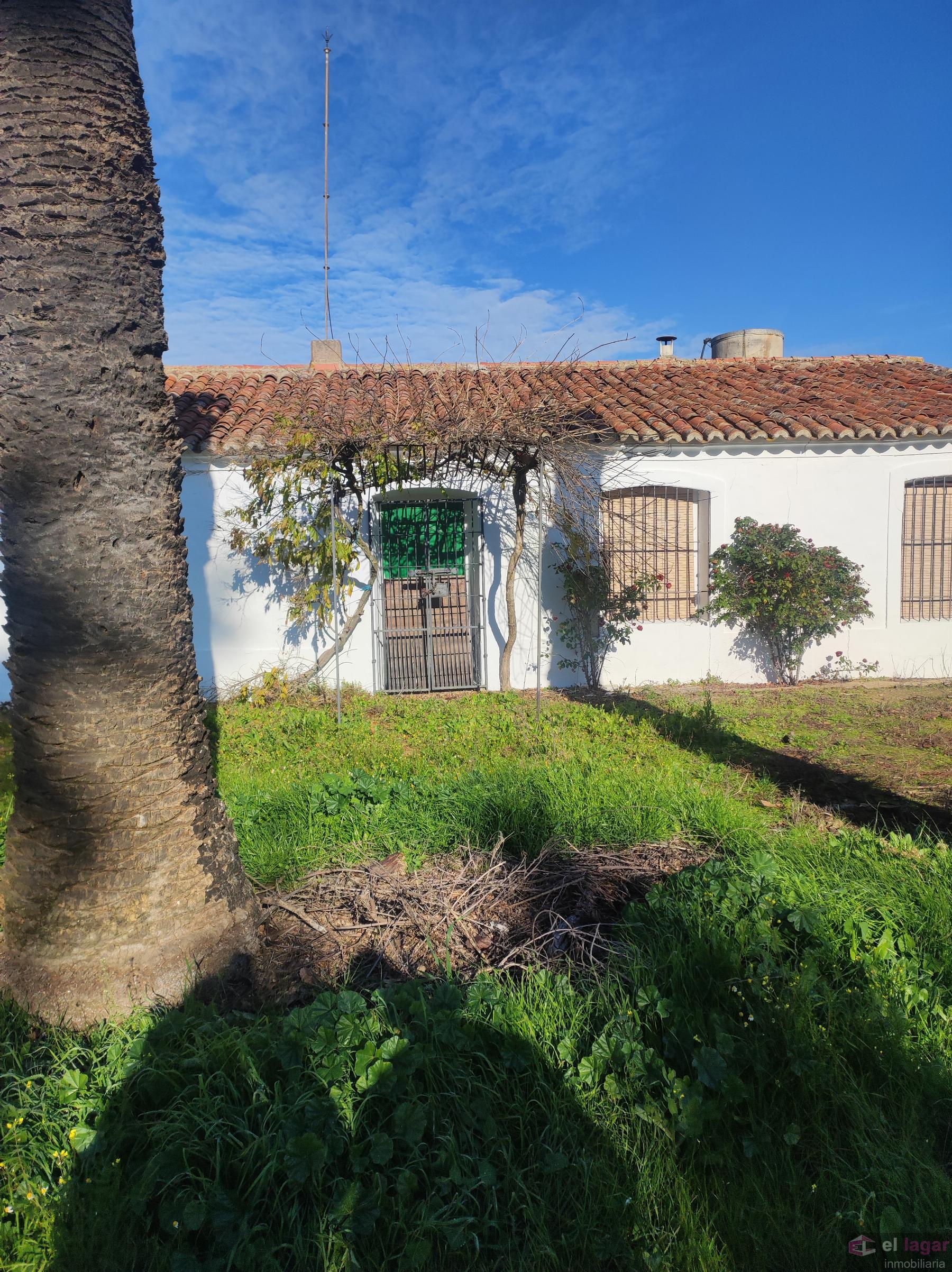 For sale of rural property in Montijo