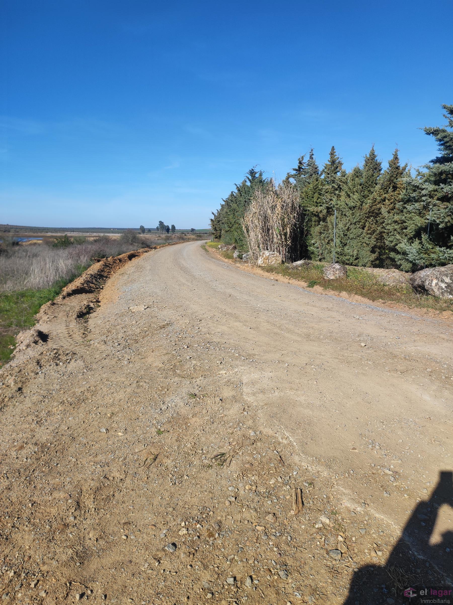 For sale of rural property in Montijo