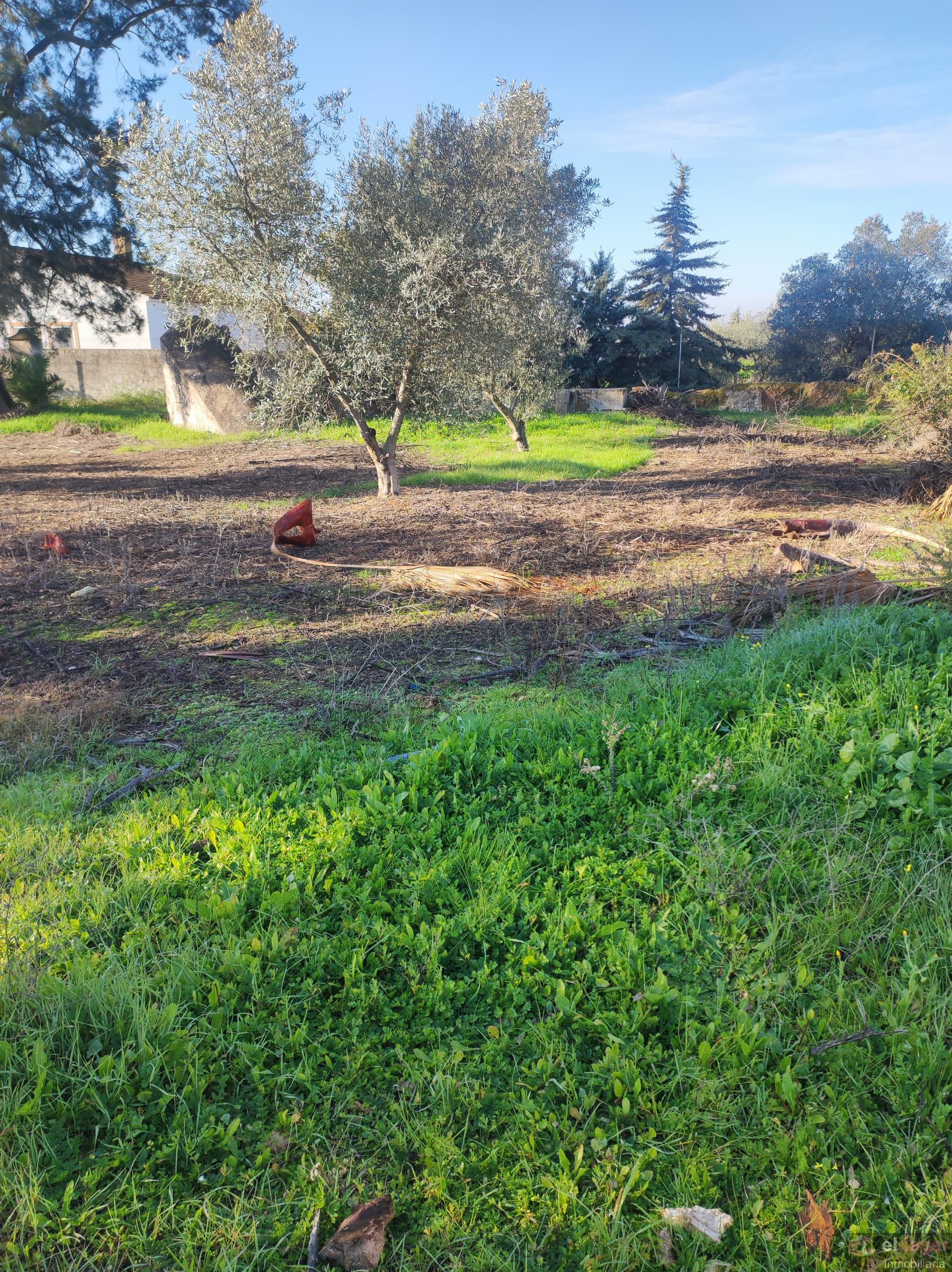 For sale of rural property in Montijo