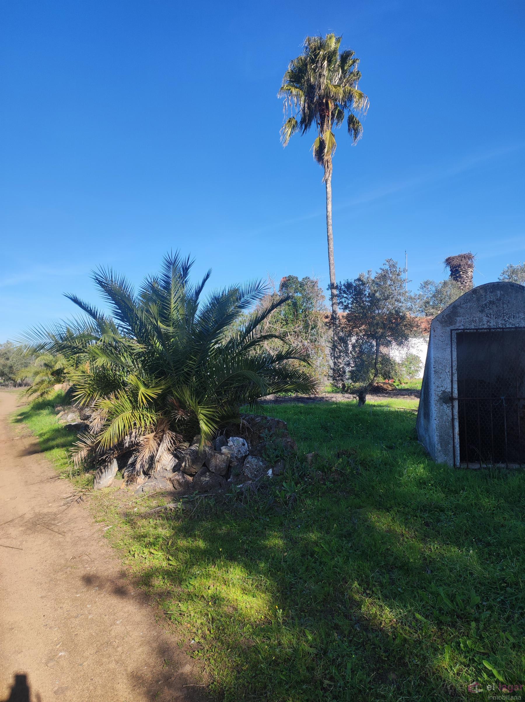 For sale of rural property in Montijo