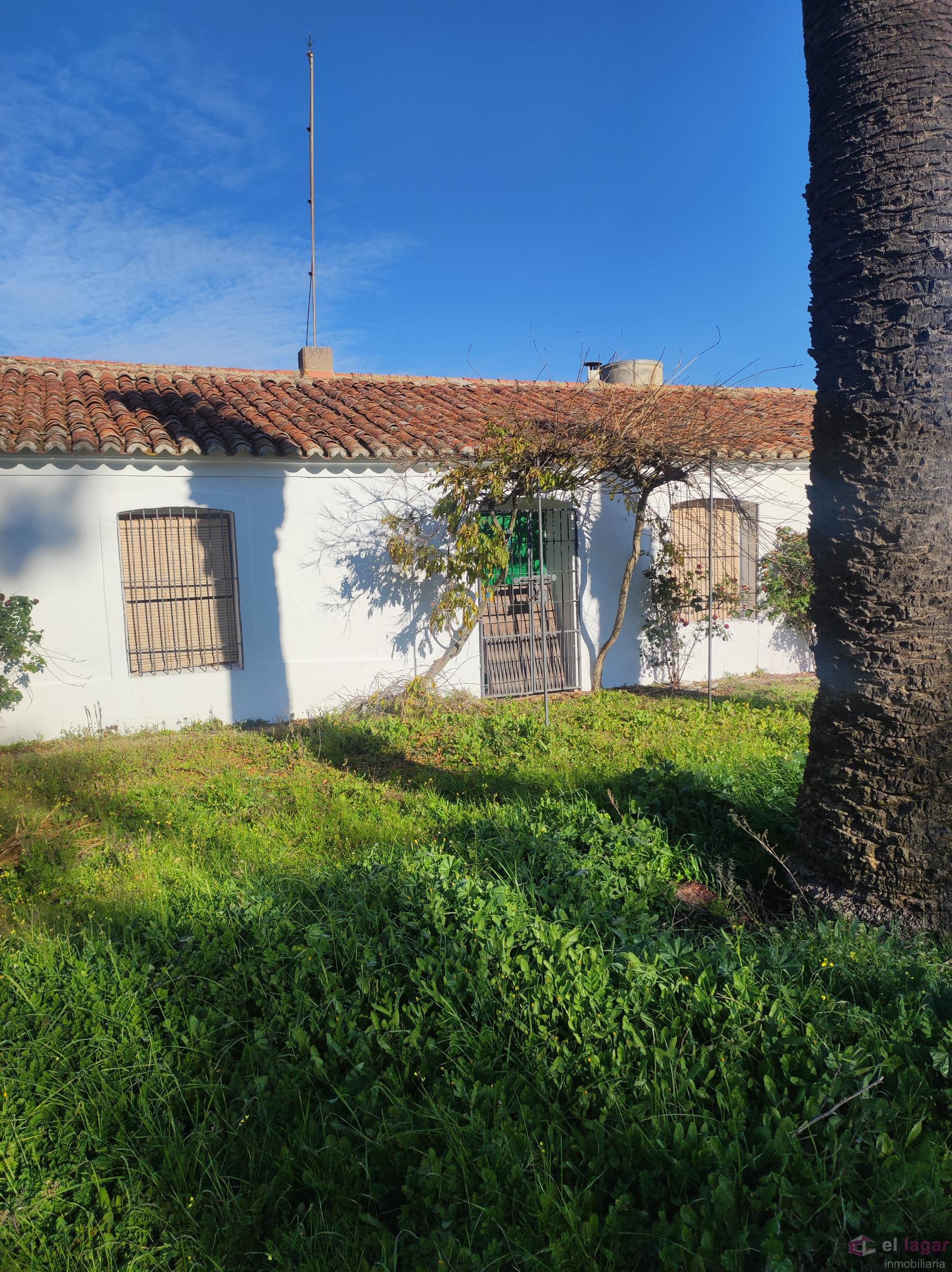 For sale of rural property in Montijo