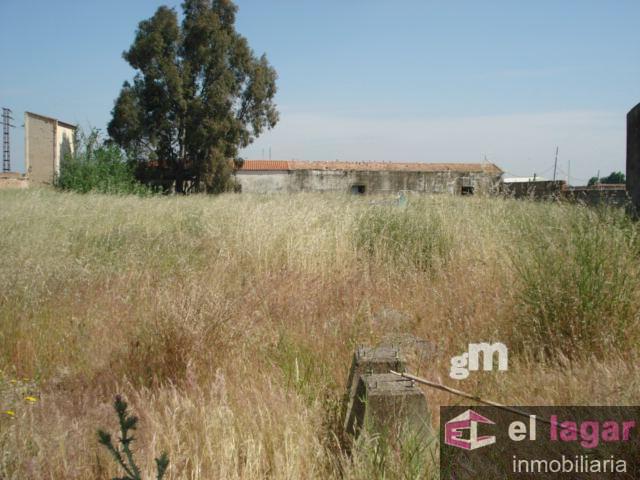 For sale of industrial plant/warehouse in Montijo