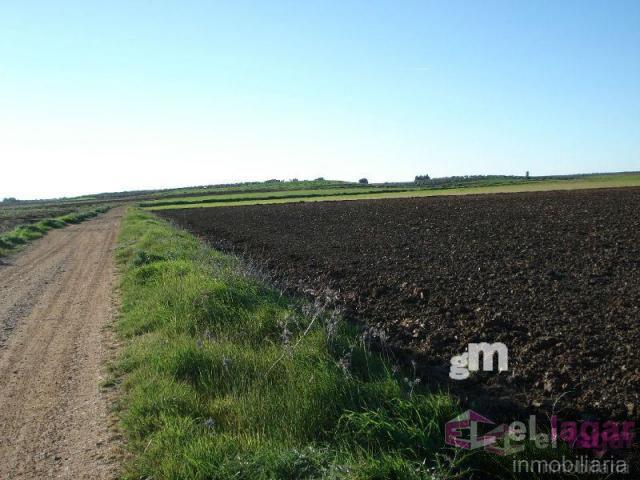 Venta de terreno en Montijo