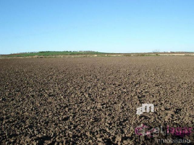 For sale of land in Montijo