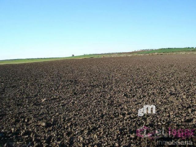 Venta de terreno en Montijo