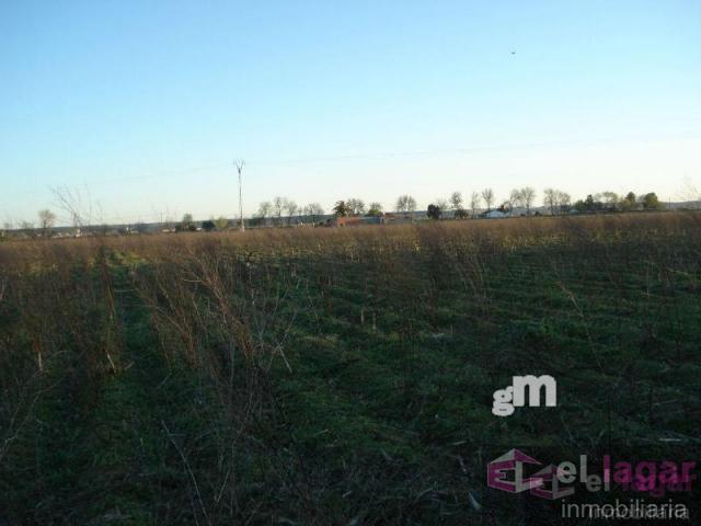 For sale of land in Montijo