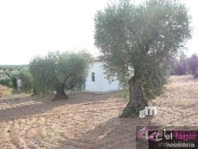 For sale of land in Montijo