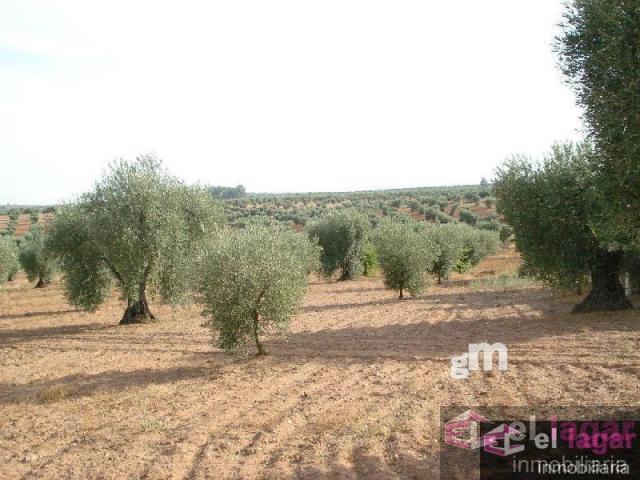 For sale of land in Montijo