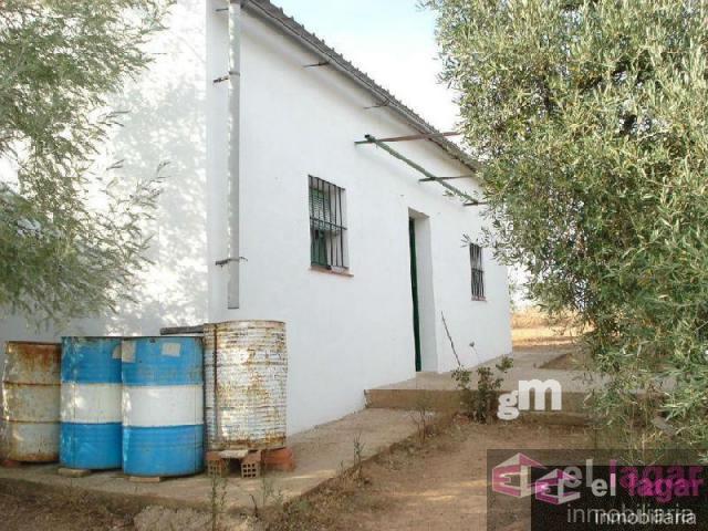 For sale of land in Montijo