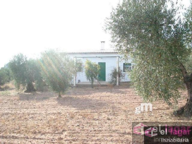 For sale of land in Montijo