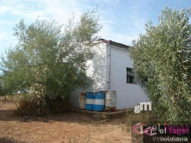 For sale of land in Montijo