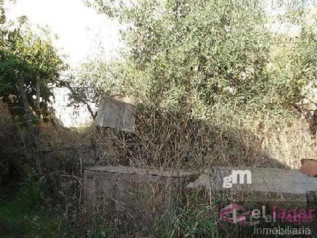 For sale of land in Montijo