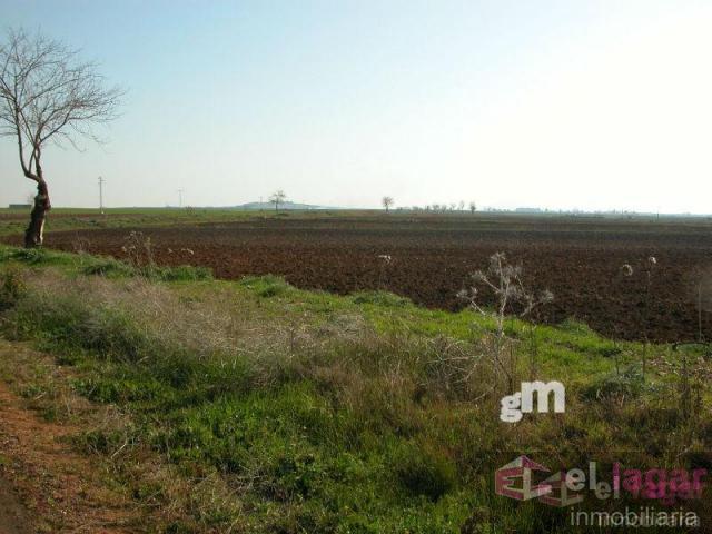 For sale of land in Montijo