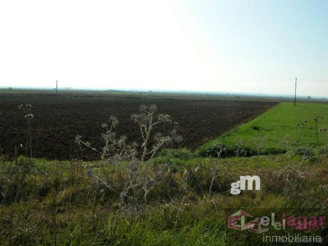 For sale of land in Montijo