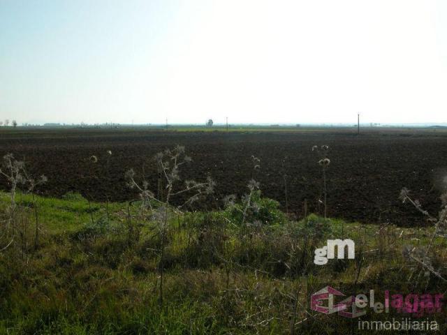 For sale of land in Montijo