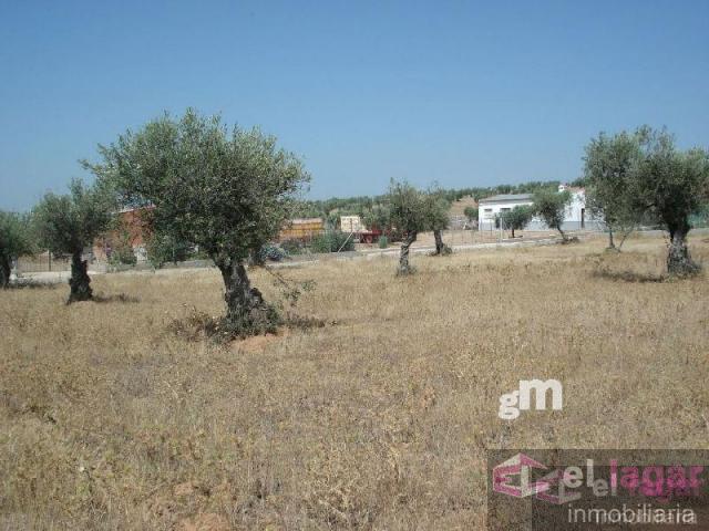 For sale of land in Montijo