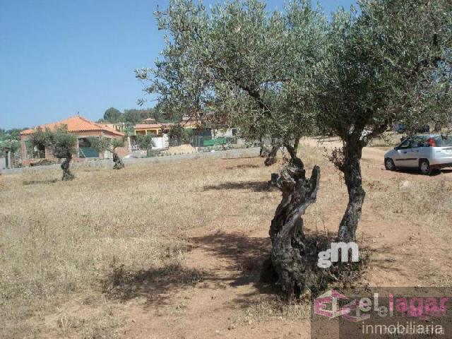 For sale of land in Montijo