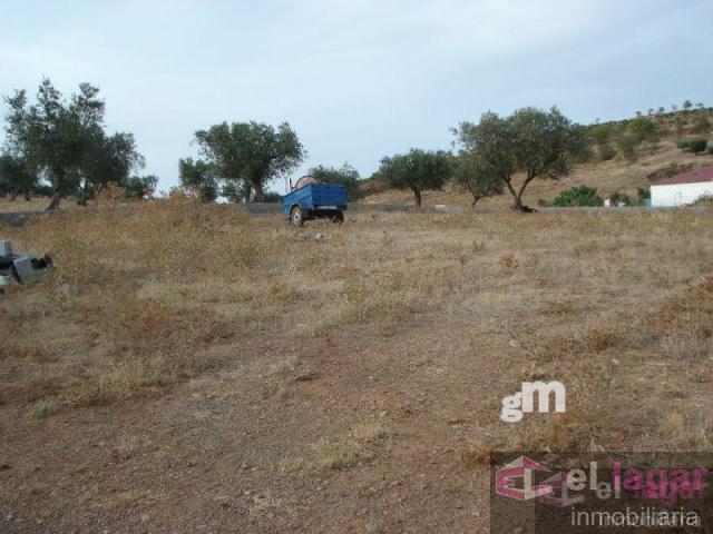 For sale of land in Montijo