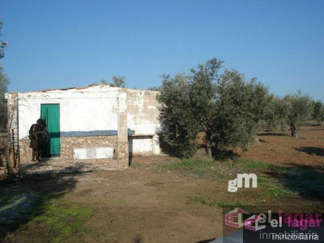 For sale of land in Montijo