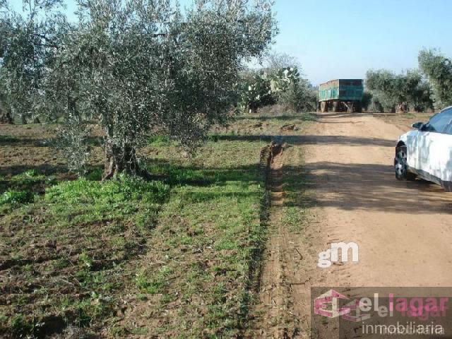 For sale of land in Montijo