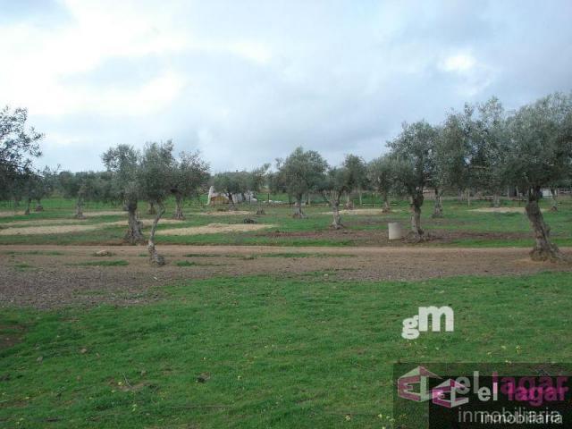 For sale of land in Montijo