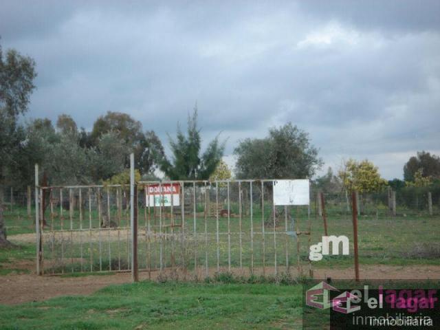 For sale of land in Montijo