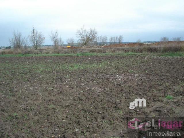 For sale of land in Montijo