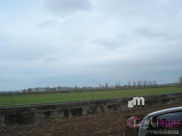 For sale of land in Montijo